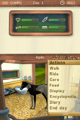 Let's Ride Friends Forever screenshot 3 for Nintendo DS